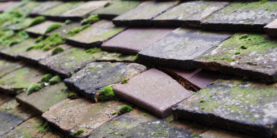 Egmond roof repair costs